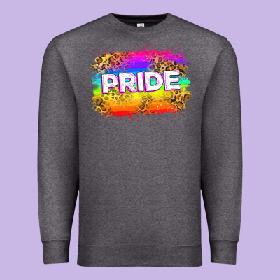 Pride Flag Premium Sweatshirt Designed By Zillion Design Studio