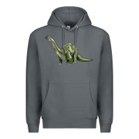 Rock dinosaur brontosaurus Premium Hoodie - Artiststas