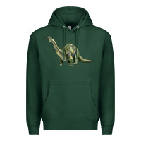 Sports Green dinosaur brontosaurus Premium Hoodie - Artiststas