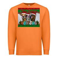 Carrot merry christmas heifers Premium Sweatshirt - RanaPortraitStore