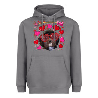 Storm Valentine's day havanese dog Heavyweight Hoodie - RanaPortraitStore