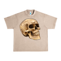 French Oak skull Urban Heavy Tee - Artiststas