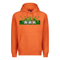 Carrot st patricks gnomes Premium Hoodie - Jasminsmagicworld