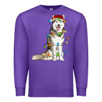 Purple husky with christmas lights Premium Sweatshirt - RanaPortraitStore