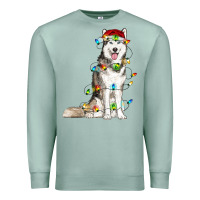 Seafoam husky with christmas lights Premium Sweatshirt - RanaPortraitStore
