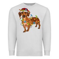 Dove Grey dachshund with christmas lights Premium Sweatshirt - RanaPortraitStore