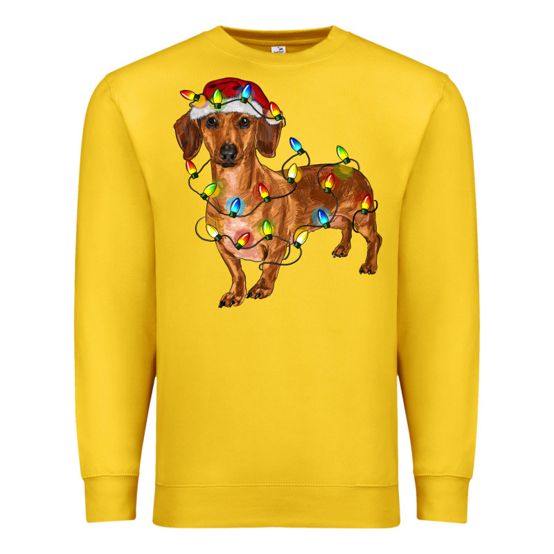 Dachshund With Christmas Lights Premium Sweatshirt by RanaPortraitStore | Teevron