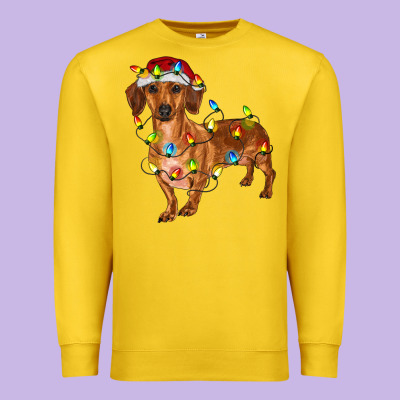 Dachshund With Christmas Lights Premium Sweatshirt Designed By Ranaportraitstore