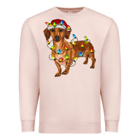 Pale Pink dachshund with christmas lights Premium Sweatshirt - RanaPortraitStore
