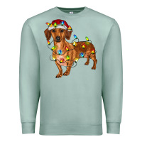Seafoam dachshund with christmas lights Premium Sweatshirt - RanaPortraitStore