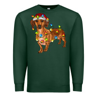 Sports Green dachshund with christmas lights Premium Sweatshirt - RanaPortraitStore