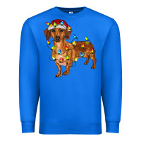 True Royal dachshund with christmas lights Premium Sweatshirt - RanaPortraitStore