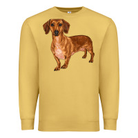 Antique Gold dachshund Premium Sweatshirt - RanaPortraitStore