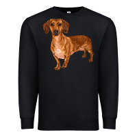 Black dachshund Premium Sweatshirt - RanaPortraitStore