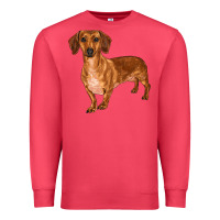 Cardinal dachshund Premium Sweatshirt - RanaPortraitStore