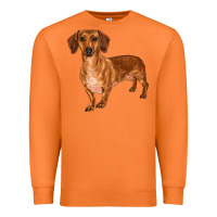 Carrot dachshund Premium Sweatshirt - RanaPortraitStore