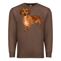 Chestnut dachshund Premium Sweatshirt - RanaPortraitStore