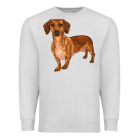 Dove Grey dachshund Premium Sweatshirt - RanaPortraitStore
