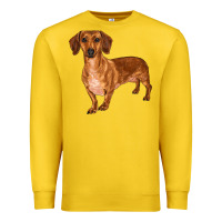 Lemon dachshund Premium Sweatshirt - RanaPortraitStore