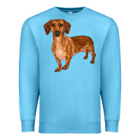 Ocean Blue dachshund Premium Sweatshirt - RanaPortraitStore