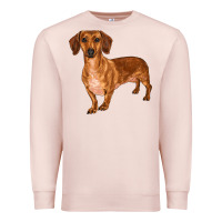 Pale Pink dachshund Premium Sweatshirt - RanaPortraitStore