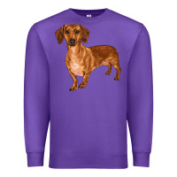 Purple dachshund Premium Sweatshirt - RanaPortraitStore