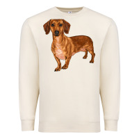 Sandshell dachshund Premium Sweatshirt - RanaPortraitStore