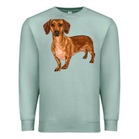 Seafoam dachshund Premium Sweatshirt - RanaPortraitStore
