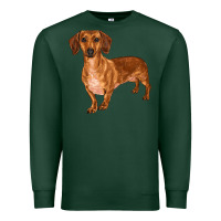 Sports Green dachshund Premium Sweatshirt - RanaPortraitStore