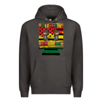 Smoke juneteenth freedom day 12 oz can cooler (regular) 2 Premium Hoodie - Artiststas