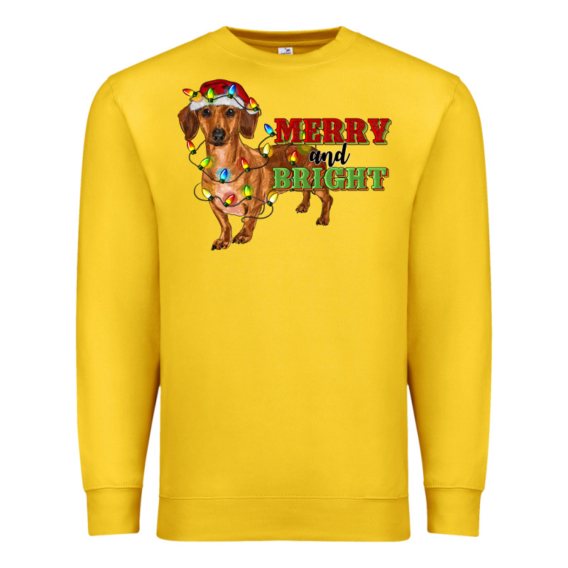 Merry And Bright Dachshund Premium Sweatshirt by RanaPortraitStore | Teevron