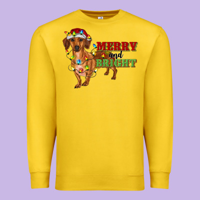 Merry And Bright Dachshund Premium Sweatshirt Designed By Ranaportraitstore