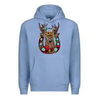 Colony Blue christmas horseshoe Premium Hoodie - JahusDesignShop