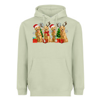 Matcha golden dogs with christmas Heavyweight Hoodie - Zillion Design Studio
