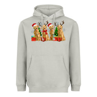 Moon Dust golden dogs with christmas Heavyweight Hoodie - Zillion Design Studio