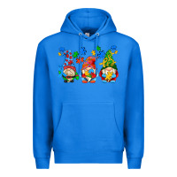 True Royal autism gnomes Premium Hoodie - AdoDesignShop