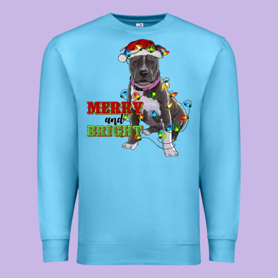 Merry And Bright Pitbull Premium Sweatshirt Designed By Ranaportraitstore