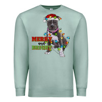 Seafoam merry and bright pitbull Premium Sweatshirt - RanaPortraitStore
