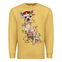 Antique Gold Chihuahua with christmas lights Premium Sweatshirt - RanaPortraitStore
