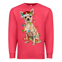 Cardinal Chihuahua with christmas lights Premium Sweatshirt - RanaPortraitStore