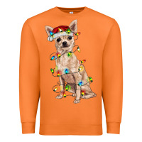 Carrot Chihuahua with christmas lights Premium Sweatshirt - RanaPortraitStore
