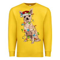 Lemon Chihuahua with christmas lights Premium Sweatshirt - RanaPortraitStore