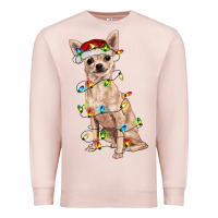 Pale Pink Chihuahua with christmas lights Premium Sweatshirt - RanaPortraitStore