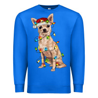 True Royal Chihuahua with christmas lights Premium Sweatshirt - RanaPortraitStore