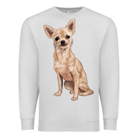 Dove Grey chihuahua Premium Sweatshirt - RanaPortraitStore