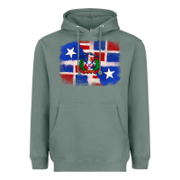 Sage dominican and puerto rico flag Heavyweight Hoodie - texasbilliewilder
