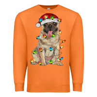 Carrot pug with christmas lights Premium Sweatshirt - RanaPortraitStore