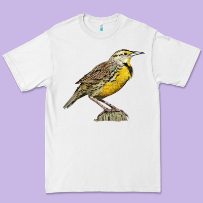 Western Meadowlark Premium Tee Designed By Lillyallendesigns