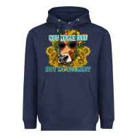 Navy not my pasture not my bullshit Heavyweight Hoodie - texasbilliewilder