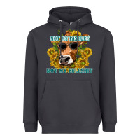 Smoke not my pasture not my bullshit Heavyweight Hoodie - texasbilliewilder